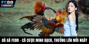 Trò chơi - FC88