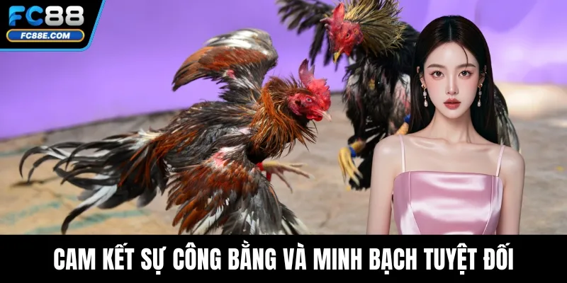 Đá Gà FC88 - Cá Cược Minh Bạch, Thưởng Lớn Mỗi Ngày Đá Gà FC88 - Cá Cược Minh Bạch, Thưởng Lớn Mỗi Ngày